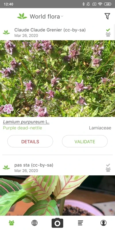 PlantNet Plant Identification for Android: Easy Plant Identification