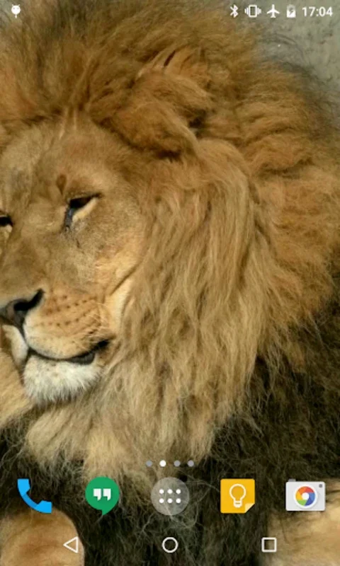 Lion HD Live Wallpaper for Android - Download the APK from AppHuts