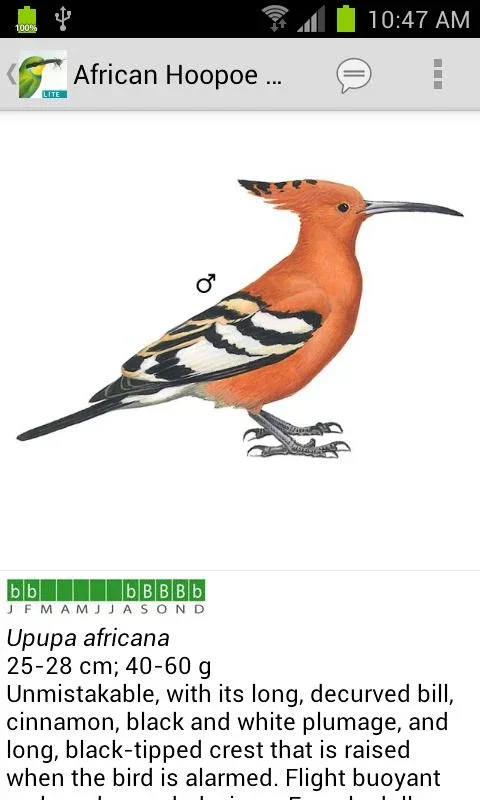 Sasol eBirds (Lite) for Android: Bird ID Made Easy