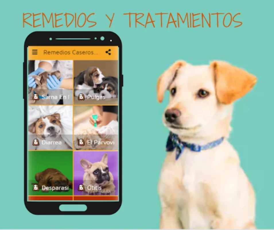 Remedios Caseros Para Perro for Android: Natural Remedies App