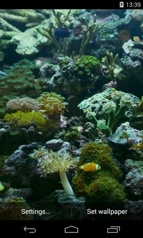 Aquarium Video Live Wallpaper for Android - Battery-Efficient Oasis