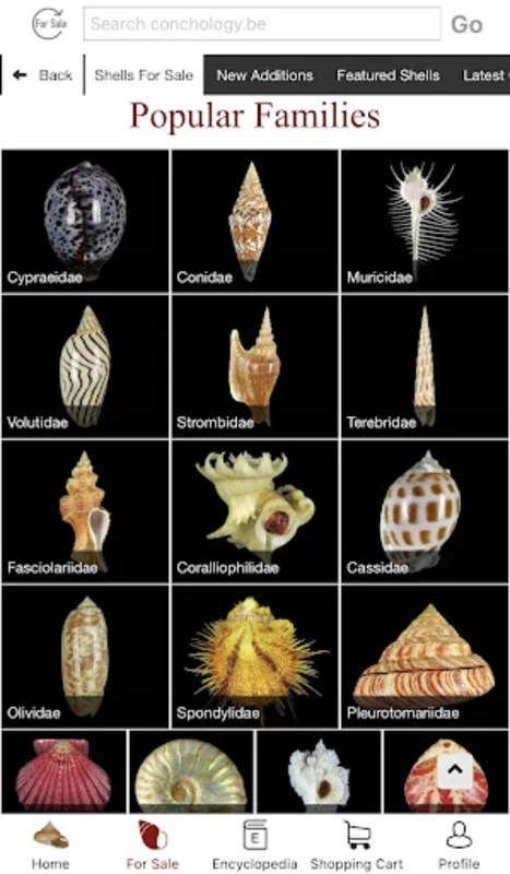 Conchology for Android: Explore Marine Mollusks