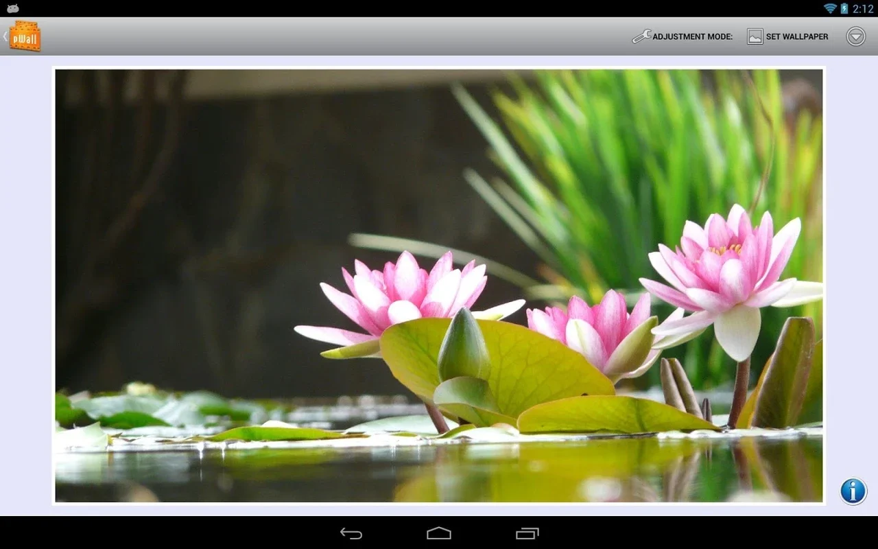 pWall Demo for Android - Customize Your Wallpaper Easily