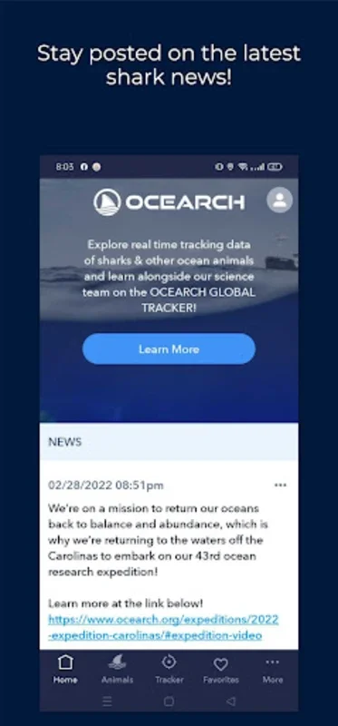 Shark Tracker for Android: Track Sharks Live