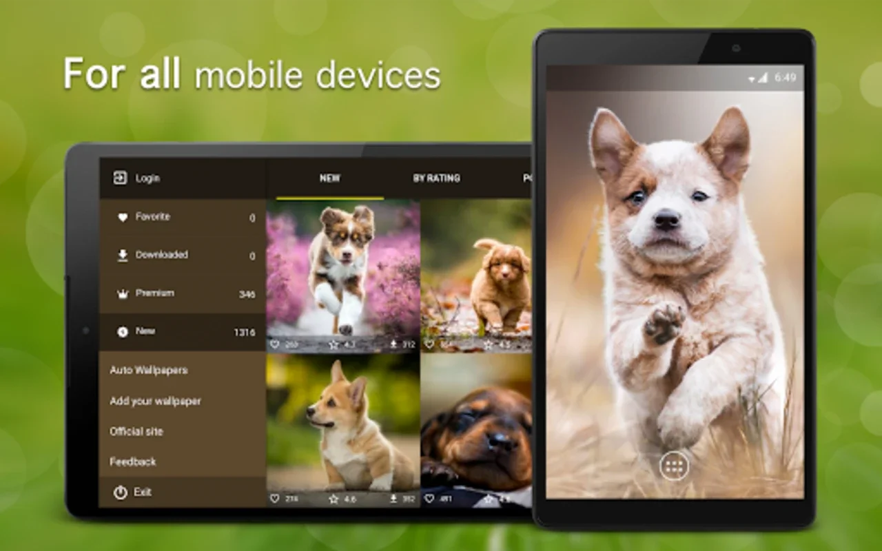 Puppy Wallpapers 4K for Android - Enhance Your Device with Cute Puppies