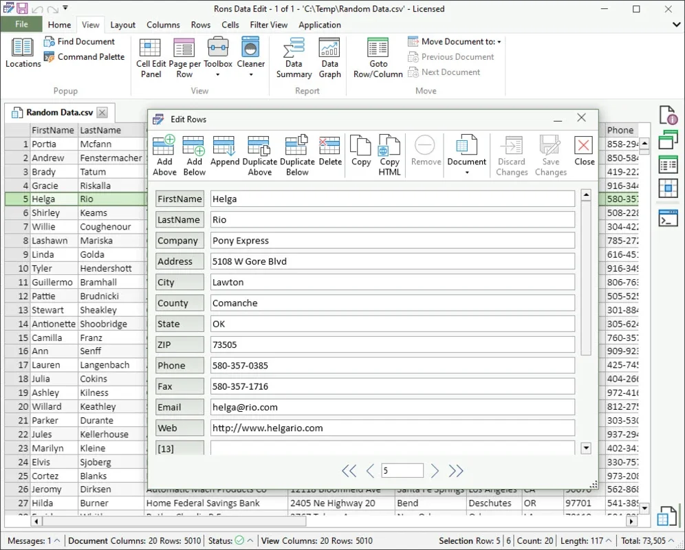 Rons Data Edit for Windows - Powerful Data Editing Tool