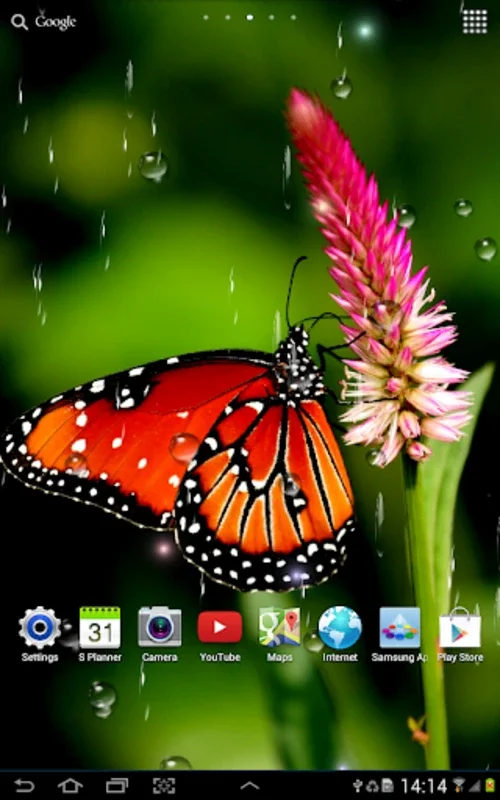 Rain Live Wallpaper for Android - Enhance Your Screen