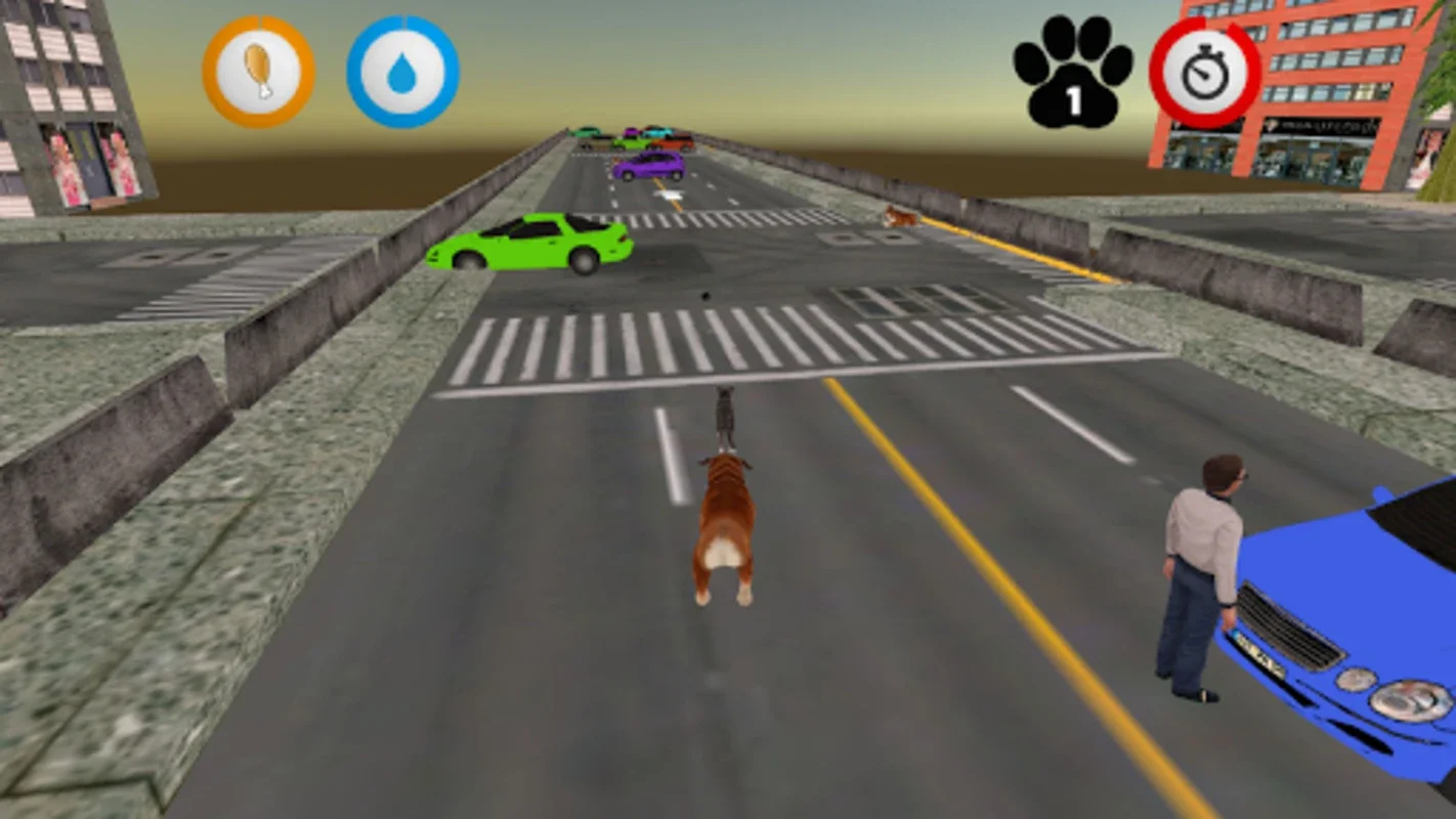 Real Cat Simulator for Android: Immersive Gaming