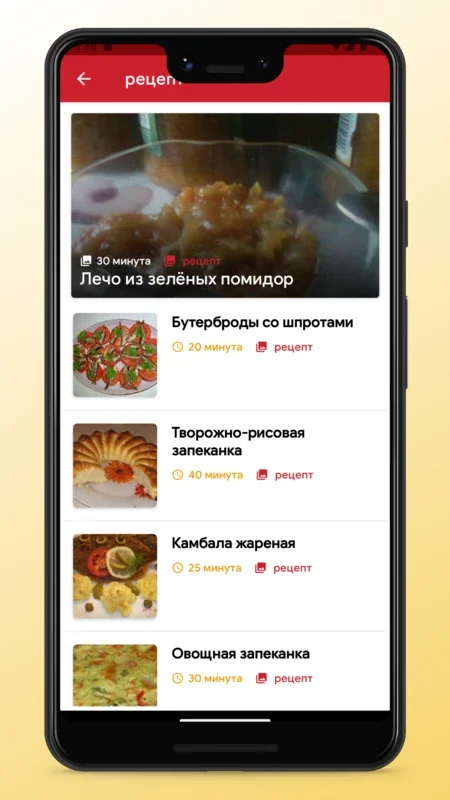 Russian food Recipes and Cooking for Android - Explore Delicious Dishes