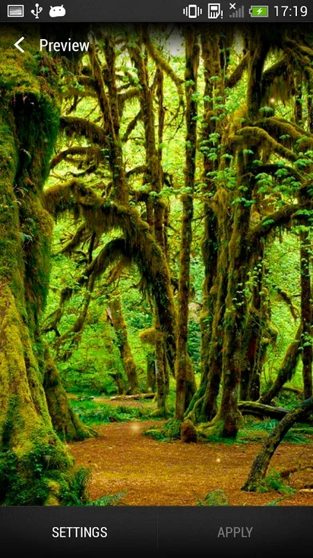 Forest Live Wallpaper for Android: Immerse in Nature