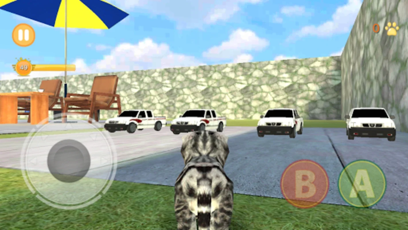 Kitten Cat Simulator 3D for Android - No Downloading Needed