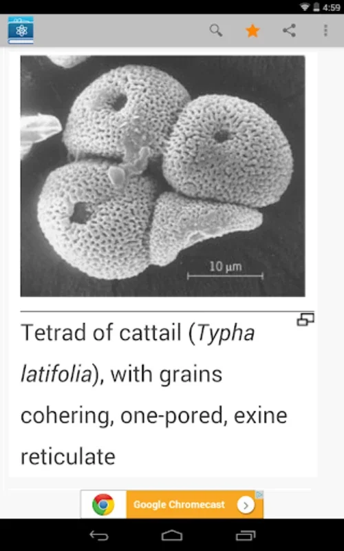 Science Dictionary by Farlex for Android - Explore Scientific Terms